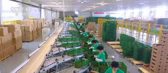 100億、10億、8.7萬(wàn)億!鄉(xiāng)村特色產(chǎn)業(yè)領(lǐng)域拓寬 發(fā)展韌性強(qiáng)