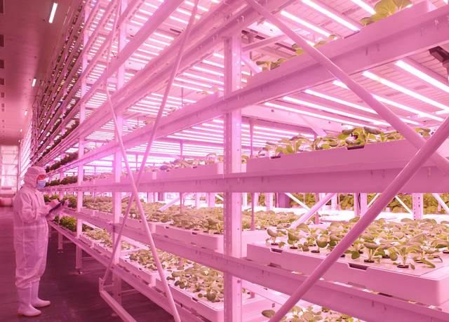 Plant2018中國(guó)國(guó)際植物工廠及農(nóng)業(yè)照明博覽會(huì)即將在滬開(kāi)幕