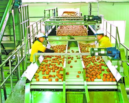 10年培育 我市農(nóng)業(yè)龍頭企業(yè)增長上千家