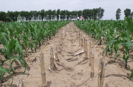 完善政策保障優(yōu)化投資環(huán)境