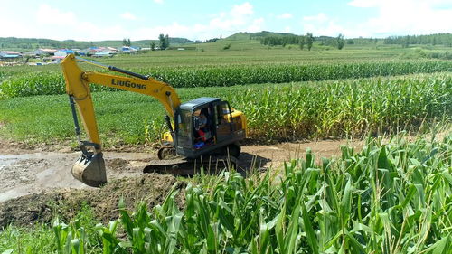 眾志成城 防汛救災丨黑龍江尚志 全力恢復農(nóng)業(yè)生產(chǎn)秩序