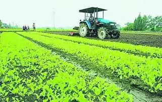 重磅│國務院已經(jīng)拍板 這七類重慶人要漲工資了