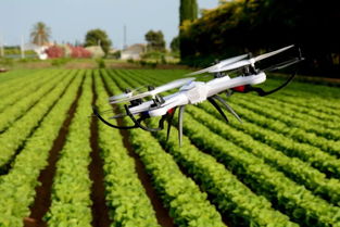 農(nóng)業(yè)巨頭大力布局飛防領域 拜耳一系列活動說明一切