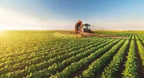 關于開展土地經(jīng)營權入股發(fā)展農(nóng)業(yè)產(chǎn)業(yè)化經(jīng)營試點的指導意見