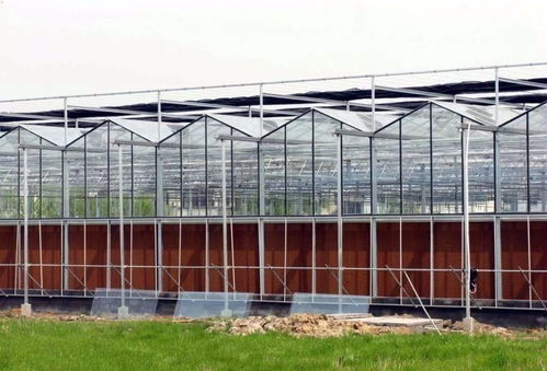 想建玻璃溫室的應多看看建溫室時需要考慮的因素