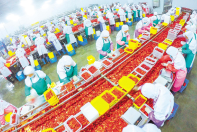 沖刺上市,&ldquo;農(nóng)字號&rdquo;企業(yè)欲酬壯志