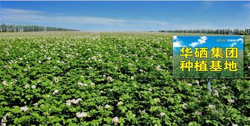 珠海華硒集團(tuán)邵有林同志受聘為中國管理科學(xué)研究院行業(yè)發(fā)展研究所高級研究員