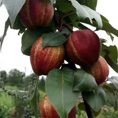 1公分等于多少厘米