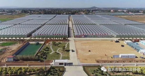 臨沂市食品協(xié)會組織會員單位 赴山東沃華智慧農業(yè)科技園考察