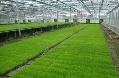 余姚再接喜報,為寧波唯一!