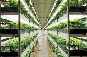 【創新】農業科技亮點,東方紅400馬力無級變速拖拉機上榜!