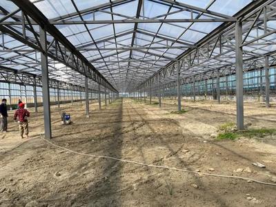 洛舍鎮(zhèn)扎實(shí)推進(jìn)農(nóng)業(yè)重大項(xiàng)目!