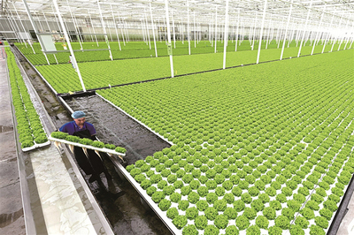 [中央紀(jì)委國家監(jiān)委網(wǎng)站]兩會(huì)觀察丨大國強(qiáng)農(nóng)向新行