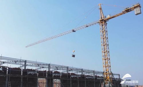 項目建設熱火朝天 助力 濰坊造 預制菜賣全國