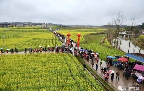 10個農業新玩法,有些人正用這些賺錢