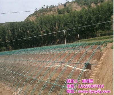 安陽豐源農業(yè)與廣安鋼結構大棚建設 現(xiàn)代農業(yè)的堅實支柱