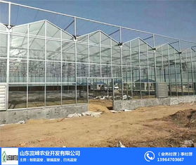 富峰農業(yè) 信陽文洛式溫室廠家的專業(yè)優(yōu)勢與發(fā)展前景
