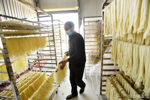 奉新洪興米粉 農(nóng)業(yè)與文化融合的品牌傳奇