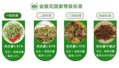 廣西巴馬意生活生態(tài)農(nóng)業(yè)產(chǎn)品正式上市 健康農(nóng)業(yè)新標(biāo)桿，綠色生活新風(fēng)尚