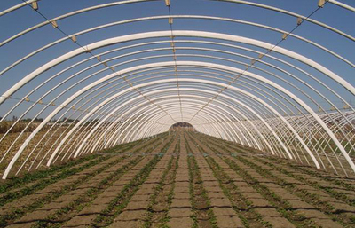 安陽(yáng)市佳和農(nóng)業(yè) 專業(yè)品質(zhì)，護(hù)航現(xiàn)代農(nóng)業(yè)——大棚配件廠家的卓越實(shí)踐